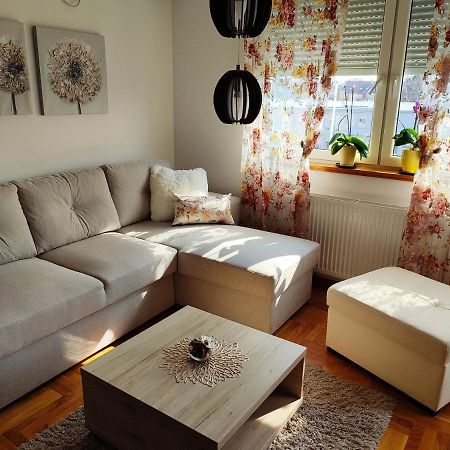 Apartment Rosa โนวีซาด ภายนอก รูปภาพ