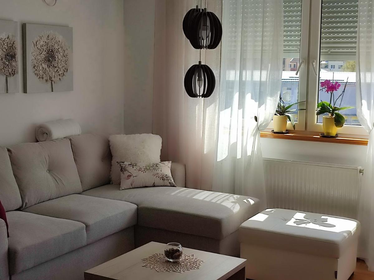 Apartment Rosa โนวีซาด ภายนอก รูปภาพ
